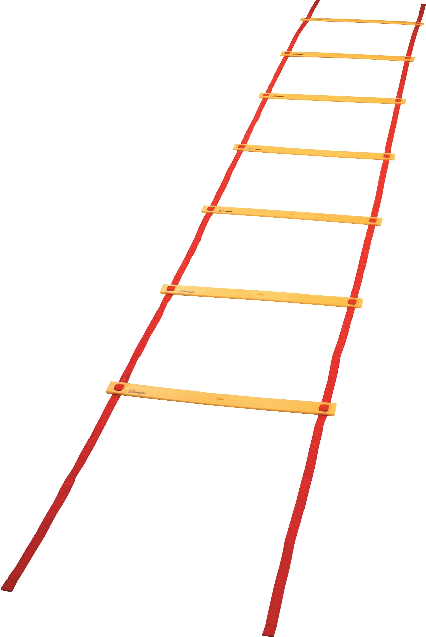 Champion Sports Economy Agility Ladder