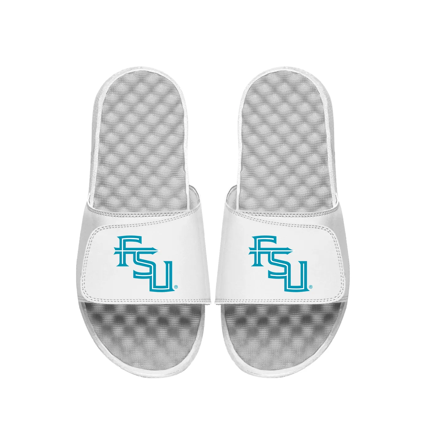 FSU Secondary Turquoise Logo