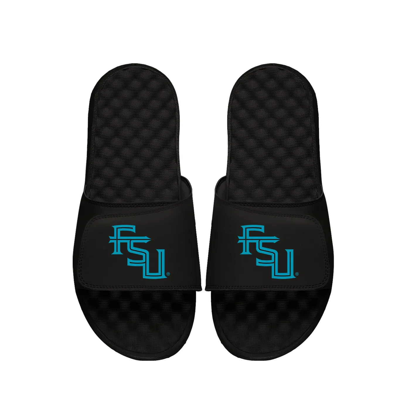 FSU Secondary Turquoise Logo