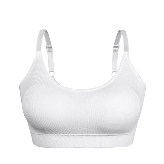 Shockproof  Seamless Sports Bra