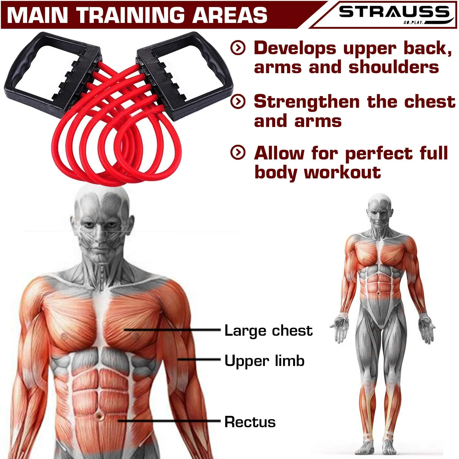 Strauss Chest Expander with 5 Springs with Double Exercise Wheel