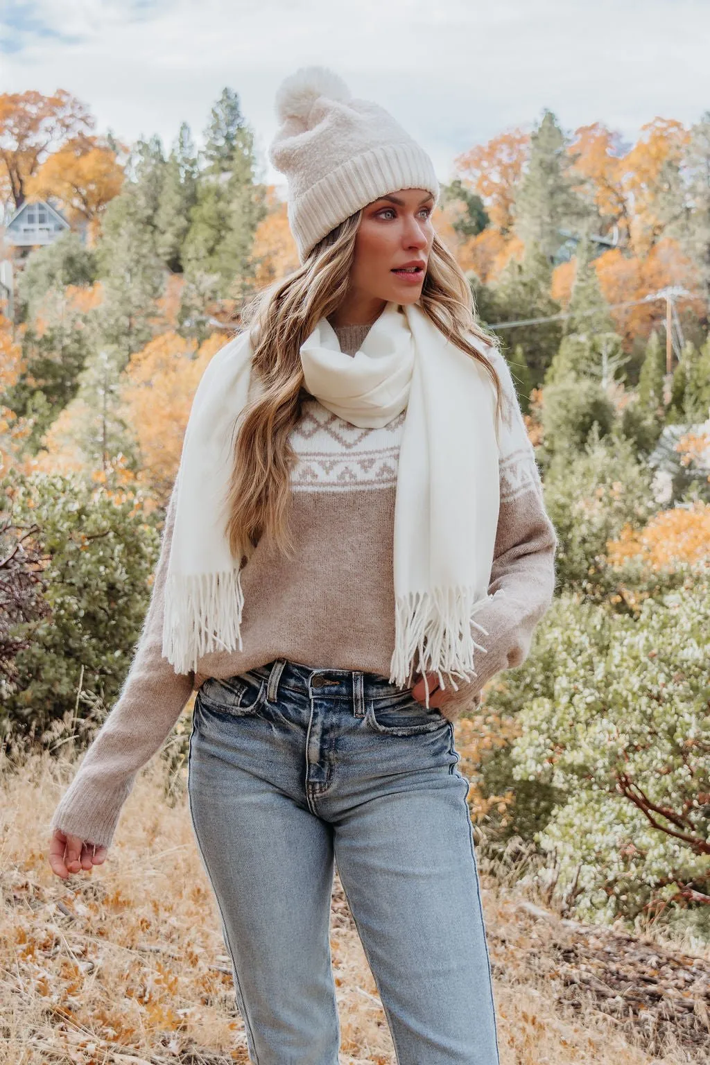 Taupe Aztec Print Mock Neck Sweater